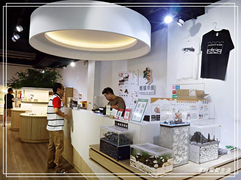 螞蟻帝國-桃園龜山/竟然可以養螞蟻!探索多采多姿的蟻國世界