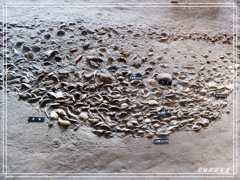 十三行博物館-新北八里/考古文化x互動體驗~室內親子景點