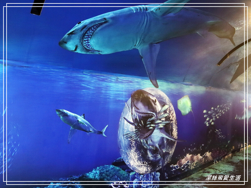 十三行博物館-新北八里/考古文化x互動體驗~室內親子景點