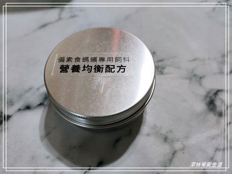 螞蟻帝國-桃園龜山/竟然可以養螞蟻!探索多采多姿的蟻國世界