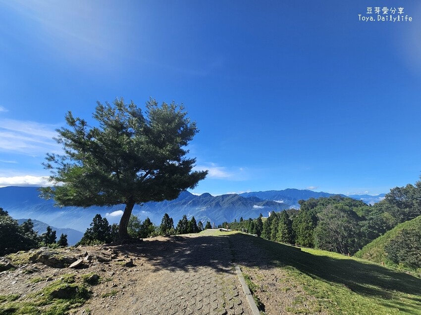 清境農場｜青青草原看綿羊秀及馬術秀 . 走走天空步道 . 逛逛小瑞士花園 🌱豆芽愛玩在南投