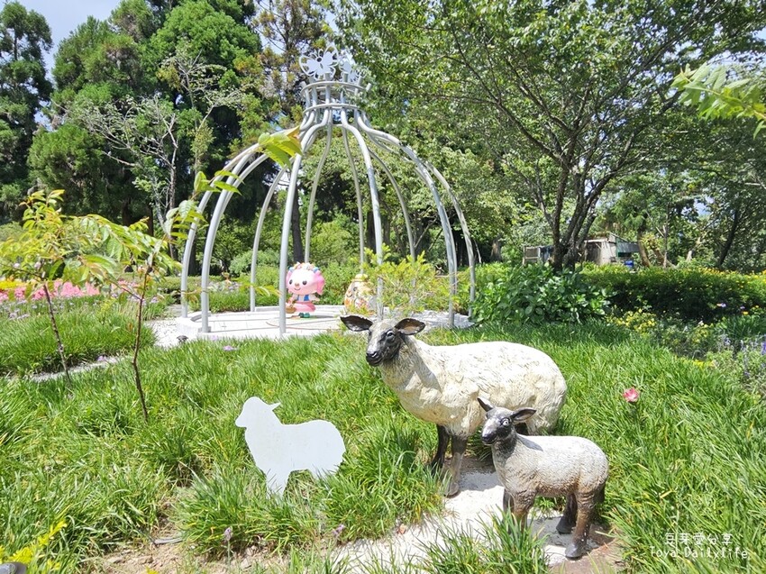 清境農場｜青青草原看綿羊秀及馬術秀 . 走走天空步道 . 逛逛小瑞士花園 🌱豆芽愛玩在南投