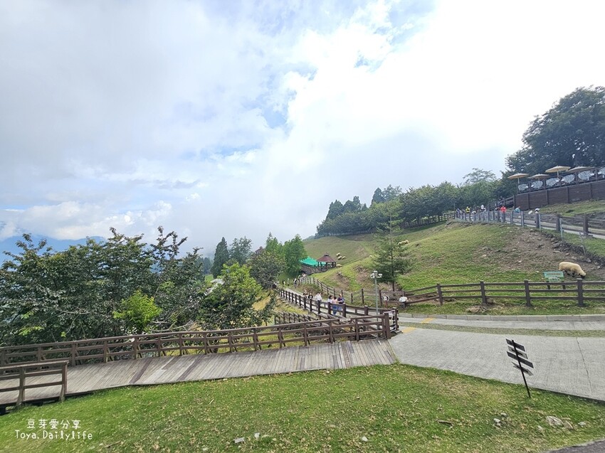 清境農場｜青青草原看綿羊秀及馬術秀 . 走走天空步道 . 逛逛小瑞士花園 🌱豆芽愛玩在南投