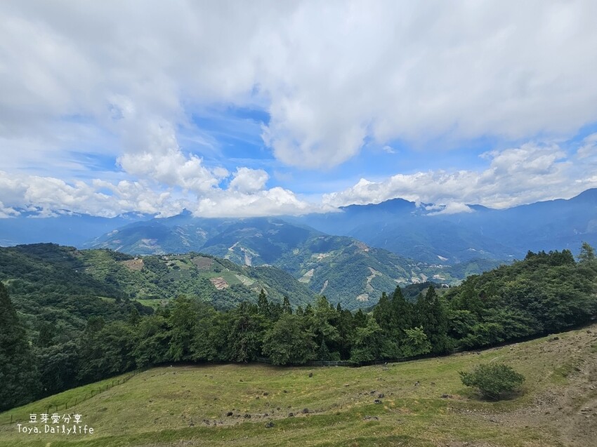 清境農場｜青青草原看綿羊秀及馬術秀 . 走走天空步道 . 逛逛小瑞士花園 🌱豆芽愛玩在南投