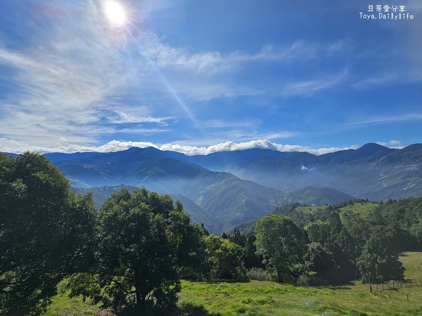 清境農場｜青青草原看綿羊秀及馬術秀 . 走走天空步道 . 逛逛小瑞士花園 🌱豆芽愛玩在南投