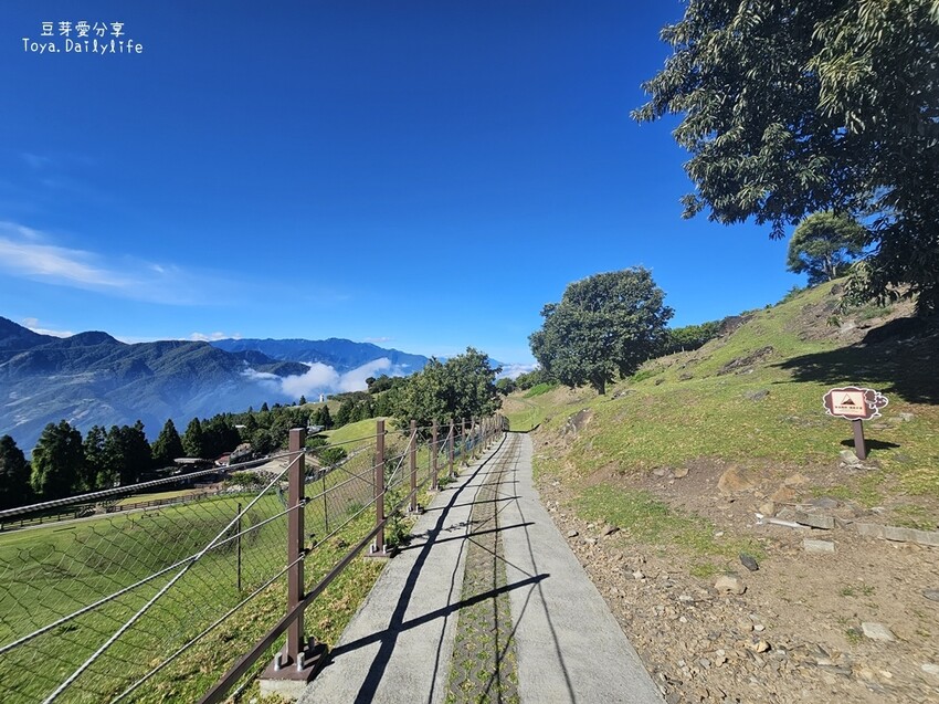 清境農場｜青青草原看綿羊秀及馬術秀 . 走走天空步道 . 逛逛小瑞士花園 🌱豆芽愛玩在南投