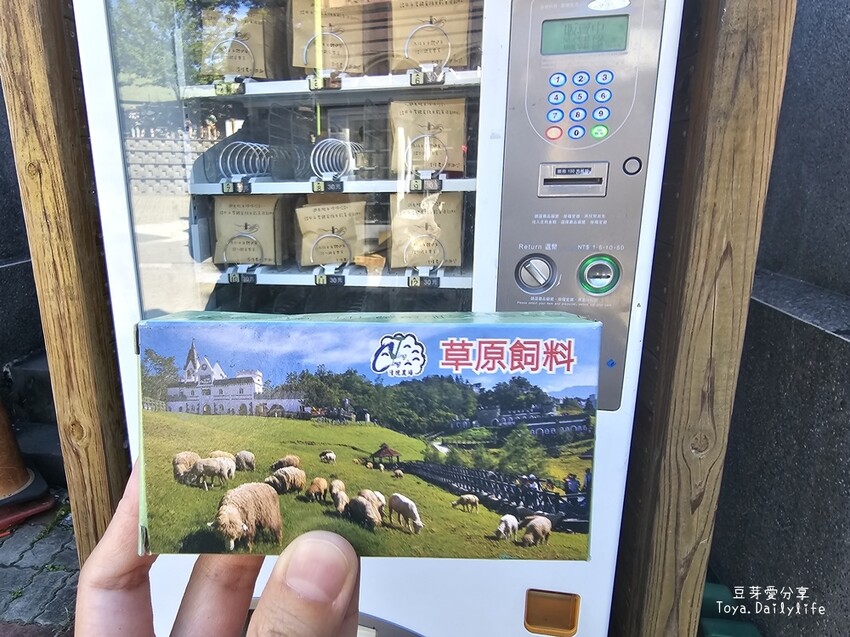 清境農場｜青青草原看綿羊秀及馬術秀 . 走走天空步道 . 逛逛小瑞士花園 🌱豆芽愛玩在南投
