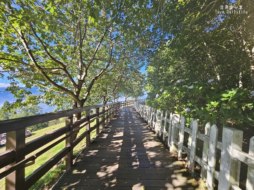 清境農場｜青青草原看綿羊秀及馬術秀 . 走走天空步道 . 逛逛小瑞士花園 🌱豆芽愛玩在南投