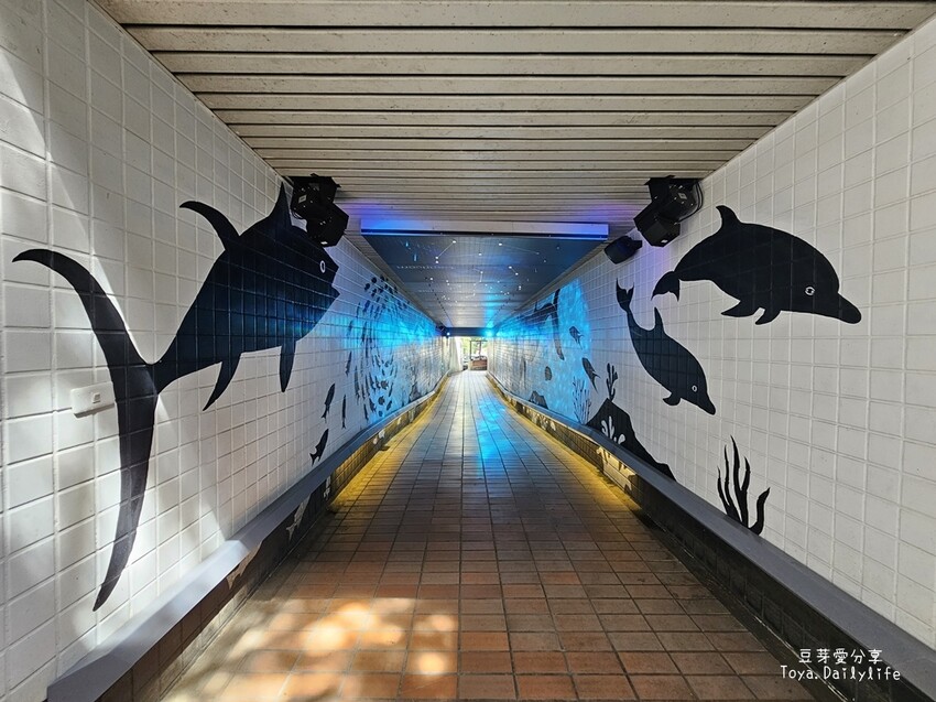 清境農場｜青青草原看綿羊秀及馬術秀 . 走走天空步道 . 逛逛小瑞士花園 🌱豆芽愛玩在南投