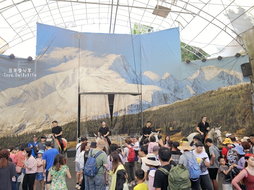 清境農場｜青青草原看綿羊秀及馬術秀 . 走走天空步道 . 逛逛小瑞士花園 🌱豆芽愛玩在南投