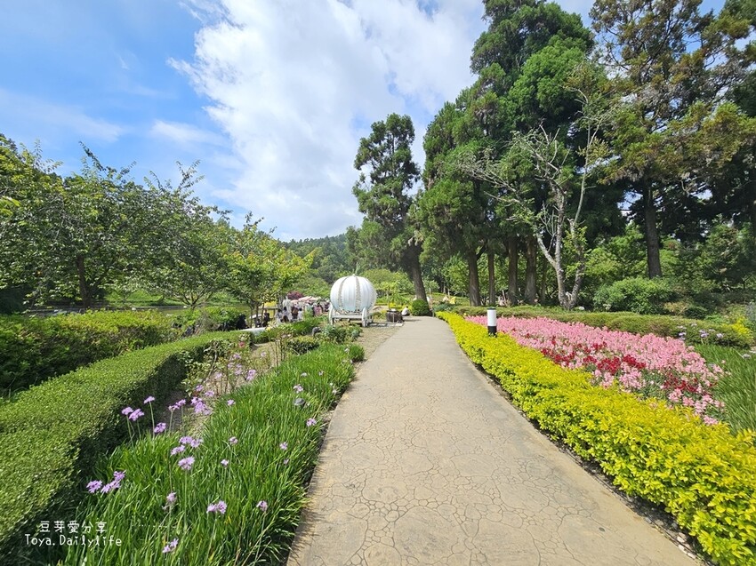 清境農場｜青青草原看綿羊秀及馬術秀 . 走走天空步道 . 逛逛小瑞士花園 🌱豆芽愛玩在南投
