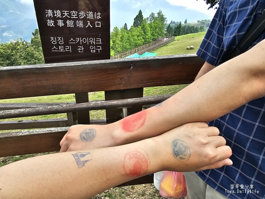 清境農場｜青青草原看綿羊秀及馬術秀 . 走走天空步道 . 逛逛小瑞士花園 🌱豆芽愛玩在南投