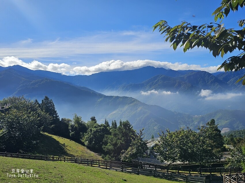 清境農場｜青青草原看綿羊秀及馬術秀 . 走走天空步道 . 逛逛小瑞士花園 🌱豆芽愛玩在南投