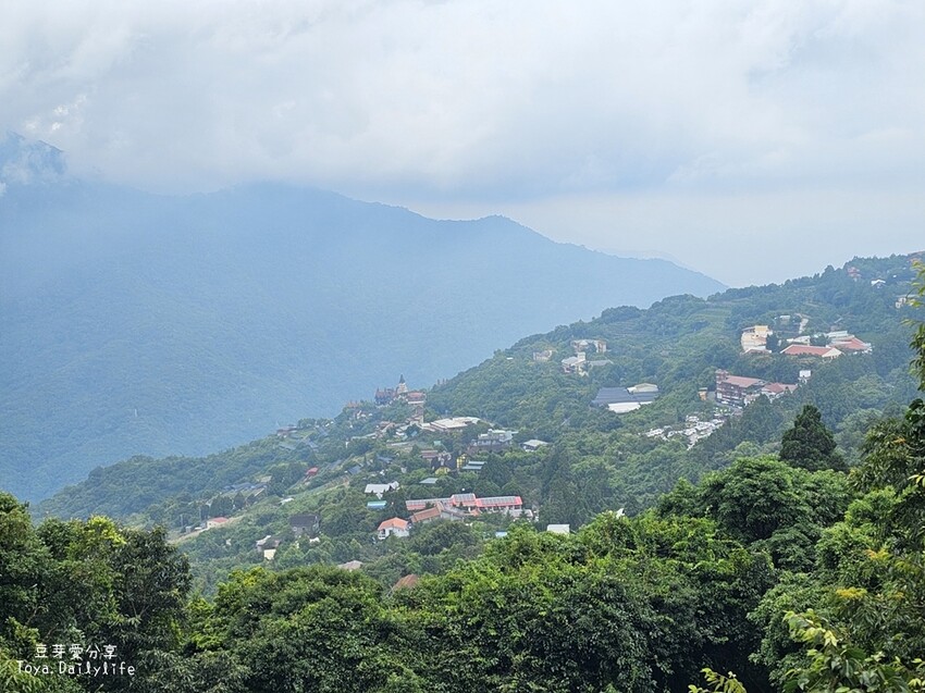 清境農場｜青青草原看綿羊秀及馬術秀 . 走走天空步道 . 逛逛小瑞士花園 🌱豆芽愛玩在南投