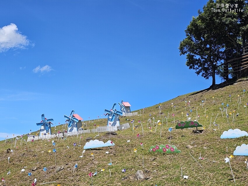 清境農場｜青青草原看綿羊秀及馬術秀 . 走走天空步道 . 逛逛小瑞士花園 🌱豆芽愛玩在南投