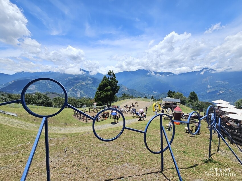 清境農場｜青青草原看綿羊秀及馬術秀 . 走走天空步道 . 逛逛小瑞士花園 🌱豆芽愛玩在南投