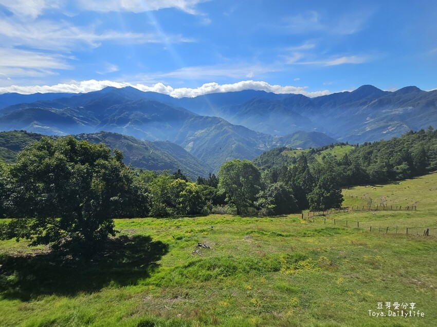 清境農場｜青青草原看綿羊秀及馬術秀 . 走走天空步道 . 逛逛小瑞士花園 🌱豆芽愛玩在南投