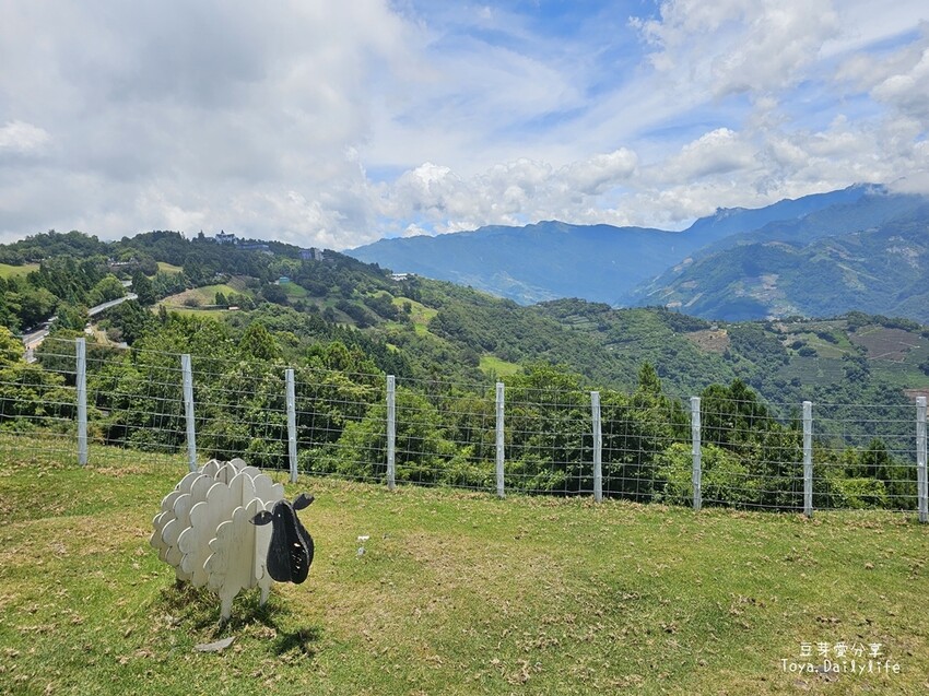 清境農場｜青青草原看綿羊秀及馬術秀 . 走走天空步道 . 逛逛小瑞士花園 🌱豆芽愛玩在南投