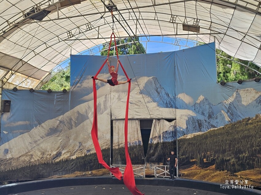 清境農場｜青青草原看綿羊秀及馬術秀 . 走走天空步道 . 逛逛小瑞士花園 🌱豆芽愛玩在南投