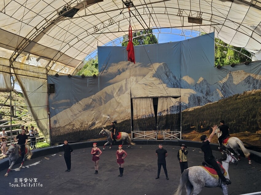 清境農場｜青青草原看綿羊秀及馬術秀 . 走走天空步道 . 逛逛小瑞士花園 🌱豆芽愛玩在南投