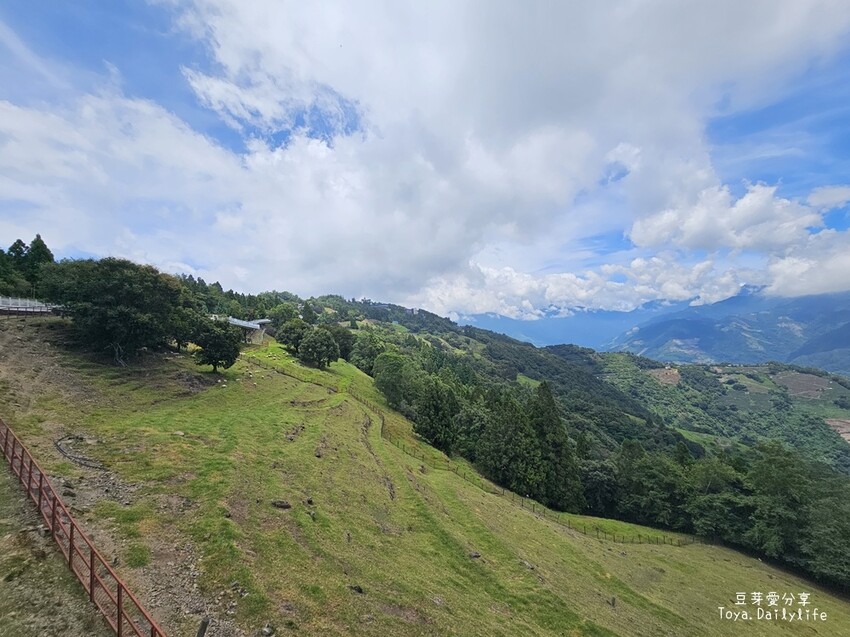 清境農場｜青青草原看綿羊秀及馬術秀 . 走走天空步道 . 逛逛小瑞士花園 🌱豆芽愛玩在南投