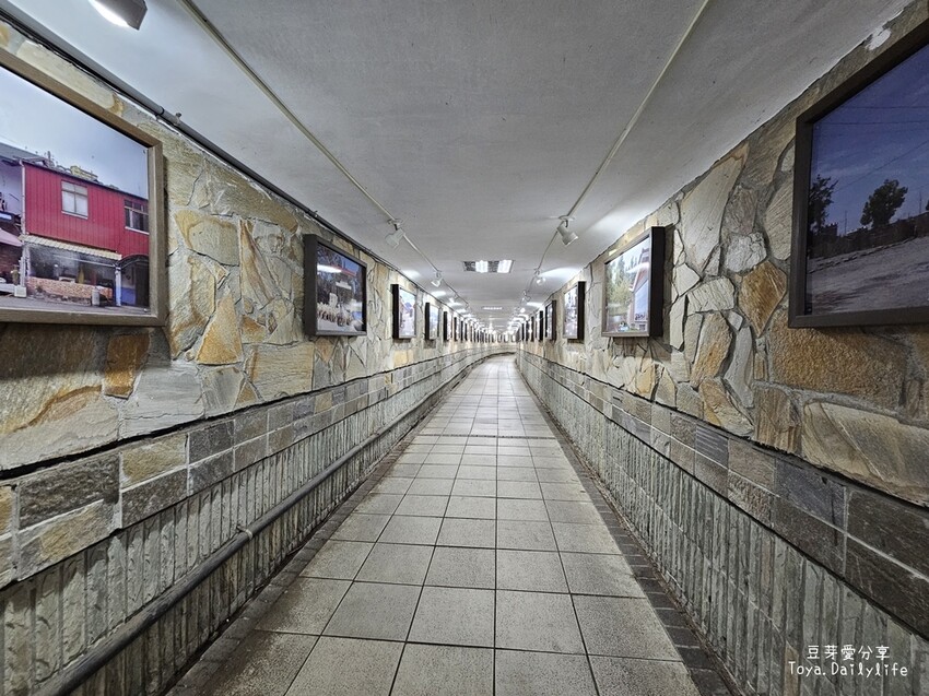 清境農場｜青青草原看綿羊秀及馬術秀 . 走走天空步道 . 逛逛小瑞士花園 🌱豆芽愛玩在南投