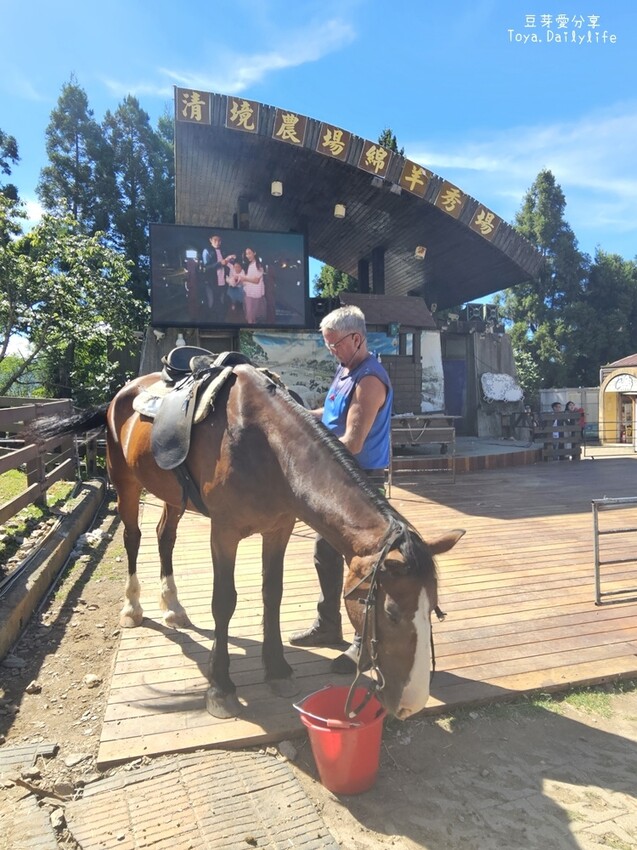 清境農場｜青青草原看綿羊秀及馬術秀 . 走走天空步道 . 逛逛小瑞士花園 🌱豆芽愛玩在南投