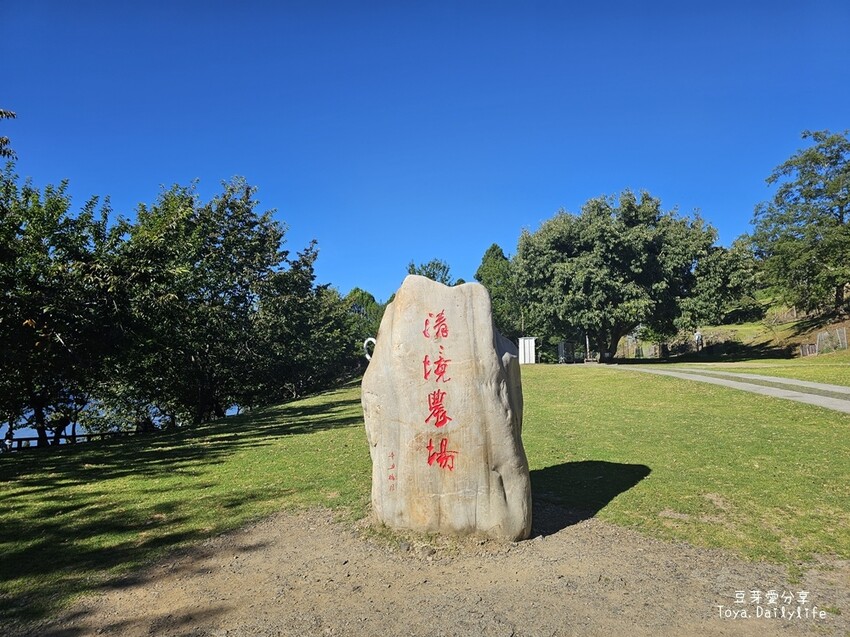 清境農場｜青青草原看綿羊秀及馬術秀 . 走走天空步道 . 逛逛小瑞士花園 🌱豆芽愛玩在南投