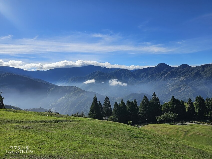 清境農場｜青青草原看綿羊秀及馬術秀 . 走走天空步道 . 逛逛小瑞士花園 🌱豆芽愛玩在南投