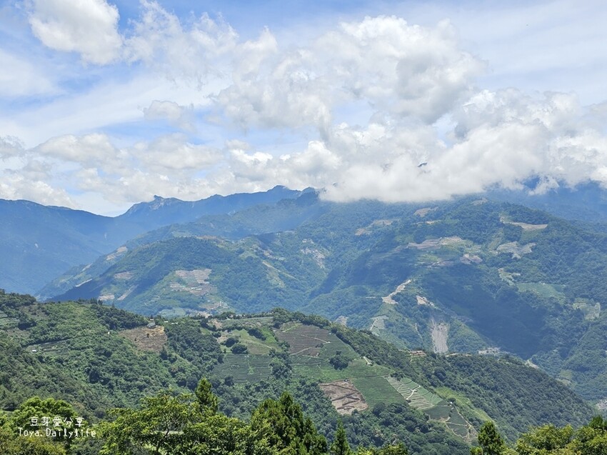清境農場｜青青草原看綿羊秀及馬術秀 . 走走天空步道 . 逛逛小瑞士花園 🌱豆芽愛玩在南投