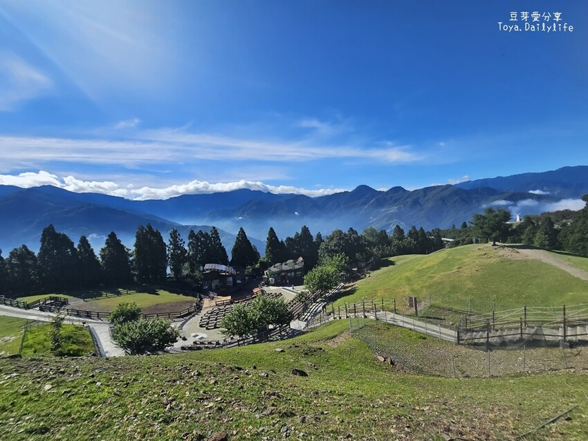 清境農場｜青青草原看綿羊秀及馬術秀 . 走走天空步道 . 逛逛小瑞士花園 🌱豆芽愛玩在南投