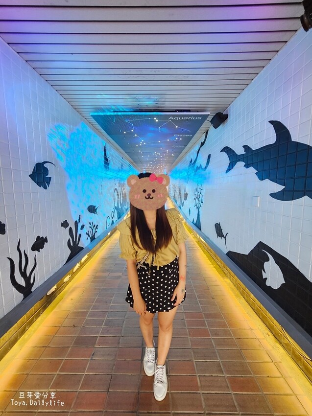 清境農場｜青青草原看綿羊秀及馬術秀 . 走走天空步道 . 逛逛小瑞士花園 🌱豆芽愛玩在南投