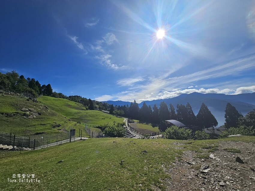 清境農場｜青青草原看綿羊秀及馬術秀 . 走走天空步道 . 逛逛小瑞士花園 🌱豆芽愛玩在南投