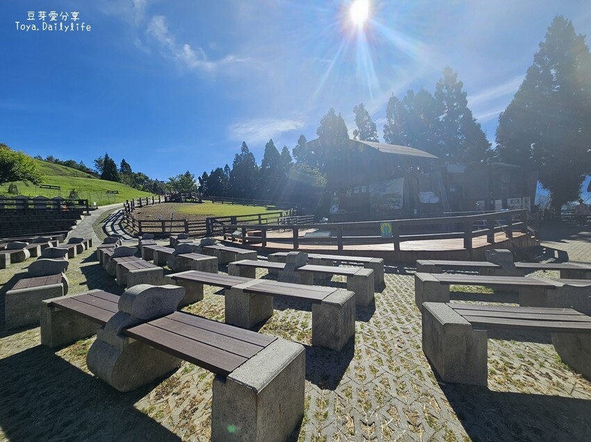 清境農場｜青青草原看綿羊秀及馬術秀 . 走走天空步道 . 逛逛小瑞士花園 🌱豆芽愛玩在南投