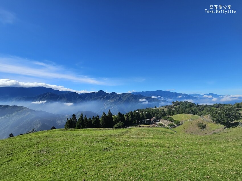 清境農場｜青青草原看綿羊秀及馬術秀 . 走走天空步道 . 逛逛小瑞士花園 🌱豆芽愛玩在南投