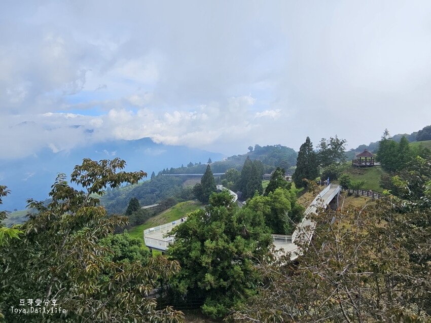 清境農場｜青青草原看綿羊秀及馬術秀 . 走走天空步道 . 逛逛小瑞士花園 🌱豆芽愛玩在南投