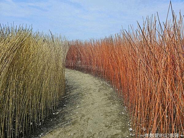 台南．台江建庄200年 / 開江紀裝置藝術展