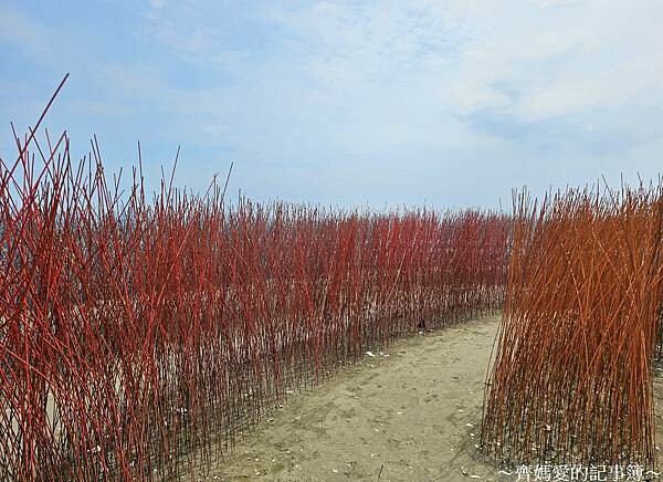 台南．台江建庄200年 / 開江紀裝置藝術展