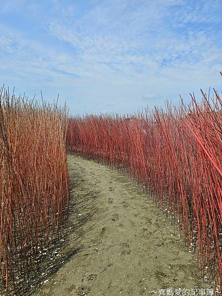 台南．台江建庄200年 / 開江紀裝置藝術展