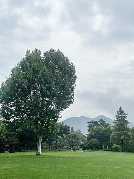 國外旅遊｜韓國｜釜邱療癒之旅 Day2