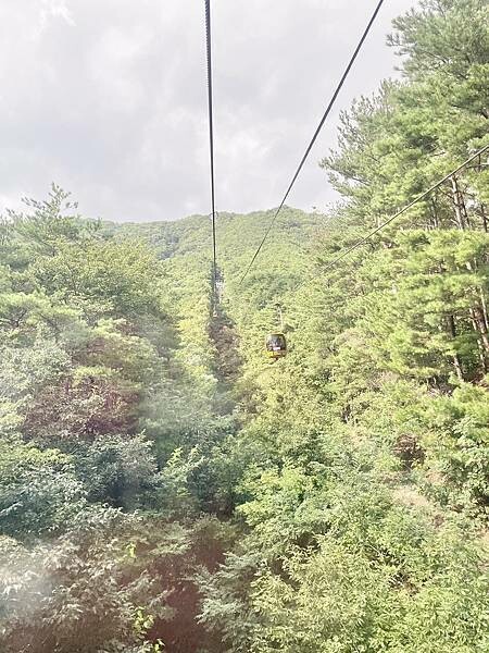 國外旅遊｜韓國｜釜邱療癒之旅 Day2