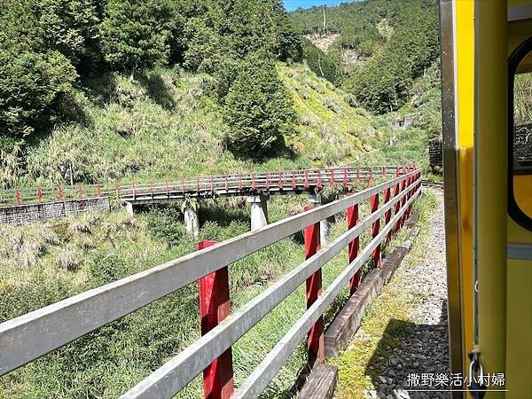 宜蘭》「太平山蹦蹦車+茂興懷舊步道」旅遊全攻略|教你如何美拍