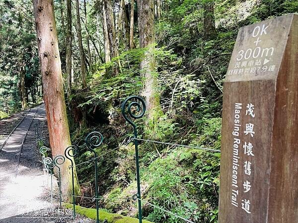 宜蘭》「太平山蹦蹦車+茂興懷舊步道」旅遊全攻略｜教你如何美拍