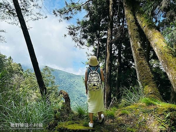 宜蘭》「太平山蹦蹦車+茂興懷舊步道」旅遊全攻略|教你如何美拍