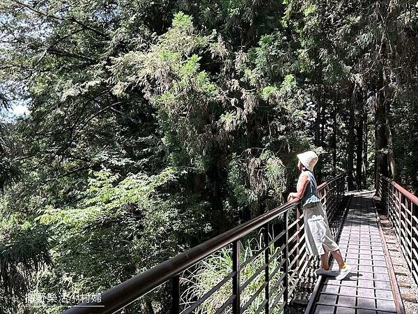 宜蘭》「太平山蹦蹦車+茂興懷舊步道」旅遊全攻略|教你如何美拍