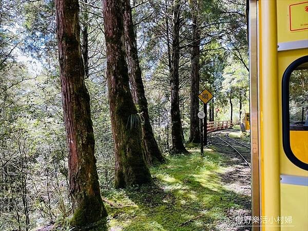 宜蘭》「太平山蹦蹦車+茂興懷舊步道」旅遊全攻略|教你如何美拍