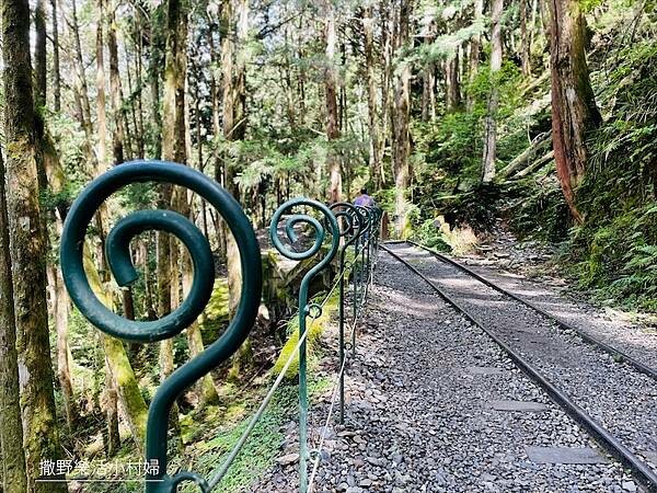 宜蘭》「太平山蹦蹦車+茂興懷舊步道」旅遊全攻略|教你如何美拍