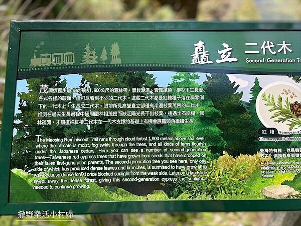 宜蘭》「太平山蹦蹦車+茂興懷舊步道」旅遊全攻略|教你如何美拍