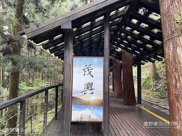 宜蘭》「太平山蹦蹦車+茂興懷舊步道」旅遊全攻略|教你如何美拍