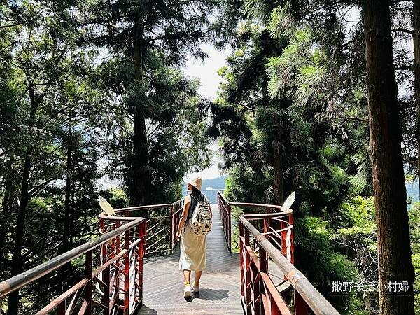 宜蘭》「太平山蹦蹦車+茂興懷舊步道」旅遊全攻略|教你如何美拍